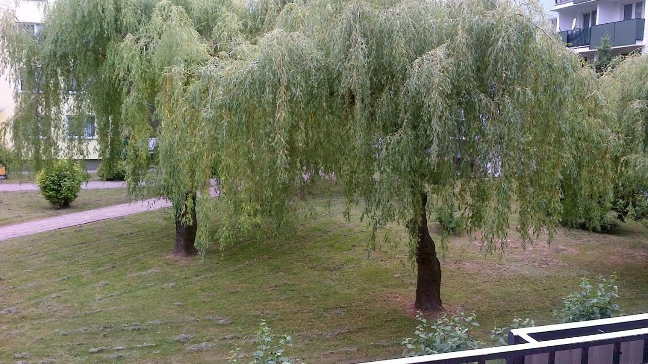 Zielona Herbowa Lublin Extérieur photo